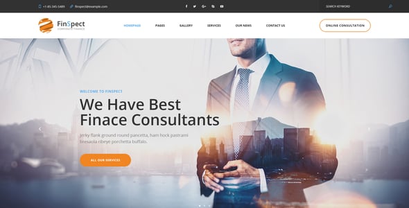 FinSpect - Business PSD Template