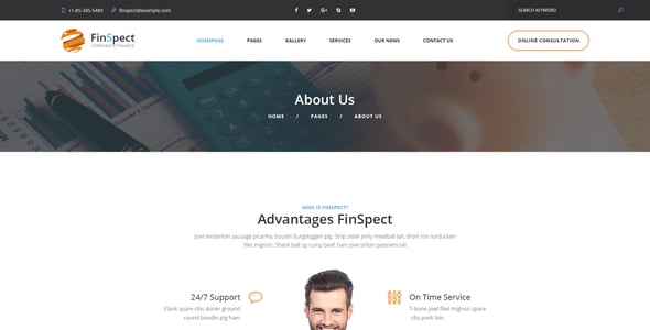FinSpect - Business PSD Template