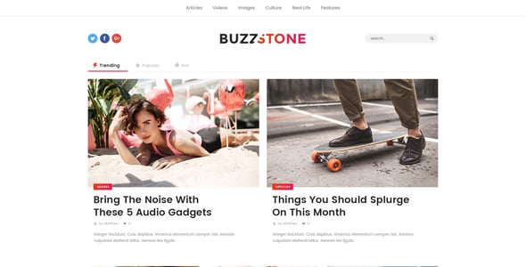 Buzz Stone | Magazine & Viral Blog WordPress Theme
