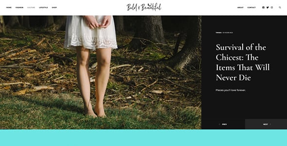 The Voux - A Comprehensive Magazine WordPress Theme