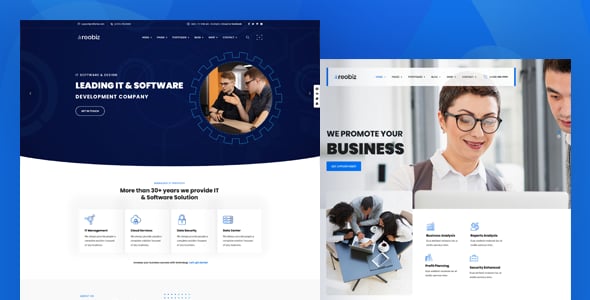 Reobiz - Consulting Business WordPress Theme
