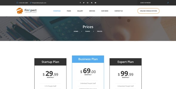 FinSpect - Business PSD Template