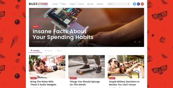 Buzz Stone | Magazine & Viral Blog WordPress Theme