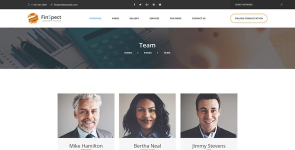 FinSpect - Business PSD Template