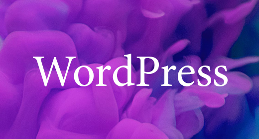 WORDPRESS THEME
