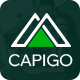 Capigo - Business Marketing WordPress Theme - ThemeForest Item for Sale