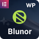 Blunor – Creative Agency & Portfolio WordPress Theme - ThemeForest Item for Sale