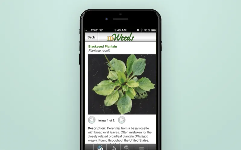 ID Weeds App